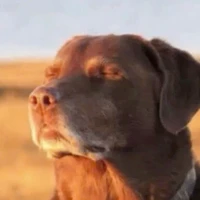 những ng có mặt ở đó