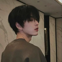 Thẩm Quân (bff nam 9)