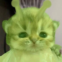 Tg