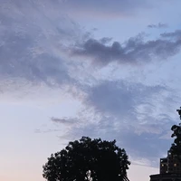 t/g lười