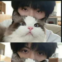 Búnn
