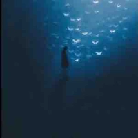 Thiên trụ đương nhiệm 