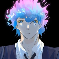 hiha des