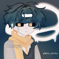 hiha backhole