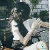 bảo như