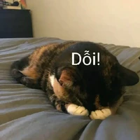 em bé