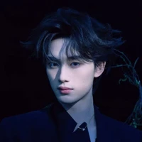Đinh Trình Hâm