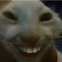 Hệ thống 144