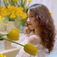 ⚡️Lại là... Tác giả bay tới đây! 🐑