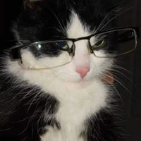 .mjeww