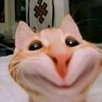 Die vì deadline 💀💀