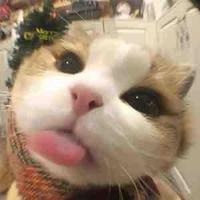 Hoàng Thư