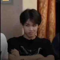 Chim mọc lông nồn