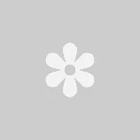 Giám đốc cô nhi viện