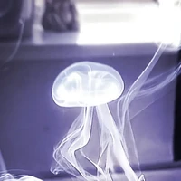 HT 037( con sứa báo Thủ)