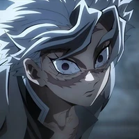 Shinazugawa Sanemi