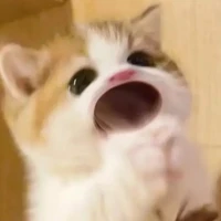 Tác Giả