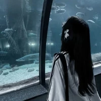 Rui Yunar