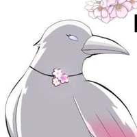 Tomoe - Quạ của Sakura