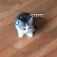 tác giả như lòn