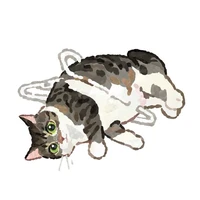 Gọi là mèo ngu .