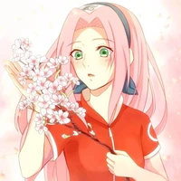 sakura