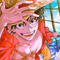 Monkey D Luffy

