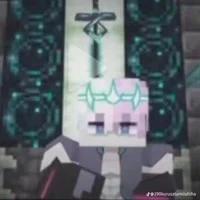 Hiha vioge