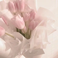 @perfect🌷