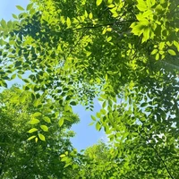 nhà cung cấp âm thanh