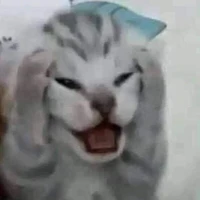 nhóm cô