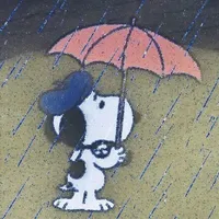 ALL