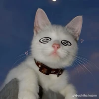 t/g