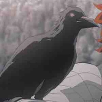 Quạ Kasugai