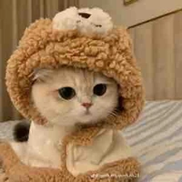 Hùng huỳnh dạng mèo 