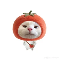 Tác giả đâyyyy