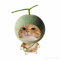 ౨ৎ