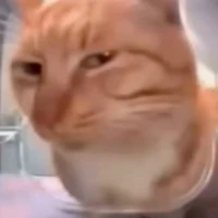 𝑵𝒉𝒂̂𝒏 𝒗𝒂̣̂𝒕 𝒑𝒉𝒖̣#2