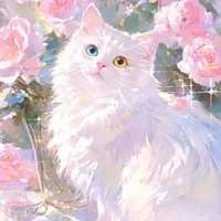 Hane (dạng mèo yêu)