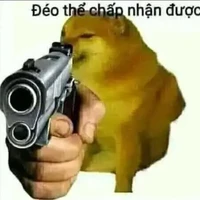 Cả lớp