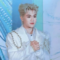 Hoàng Đức Duy (Rồng xanh)
