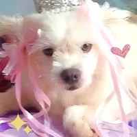 Sữa