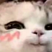 t/g
