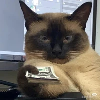 chị Anh Hương ( đạo diễn )