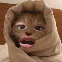 đủ thứ vai :))