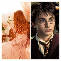 Cặp song sinh nhà Potter