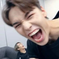 Vernon ( Hansol)