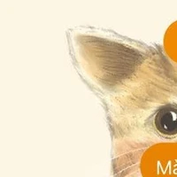 cân mọi nhân vật