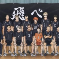 Karasuno Team