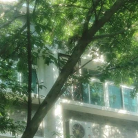 NV quần chúng